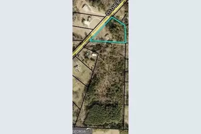 374 Luther Bailey Road, Senoia, GA 30276 - Photo 3