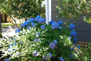 516 Longview St, Carrollton, GA 30117 - Photo 27