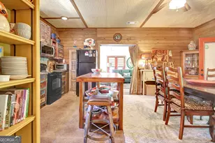 460 Morgan Mill Rd, Brooks, GA 30205 - Photo 37