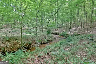 460 Morgan Mill Rd, Brooks, GA 30205 - Photo 21