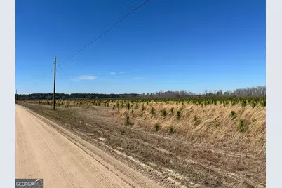 2000-4 Sellers Road NW, Baxley, GA 31513 - Photo 11