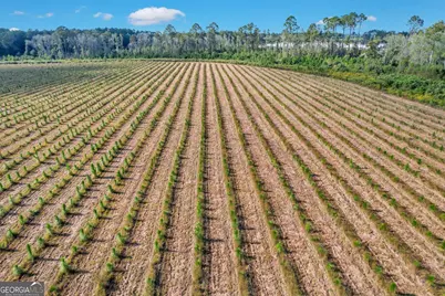 2000-4 Sellers Road NW, Baxley, GA 31513 - Photo 1