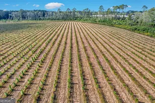 2000-4 Sellers Road NW, Baxley, GA 31513 - Photo 1