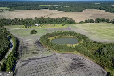 5185 Old Groveland Road, Pembroke, GA 31321 - Photo 15