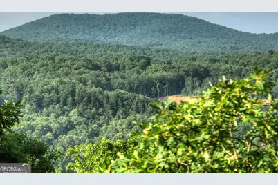 0 Walker Drive, Morganton, GA 30560 - Photo 3