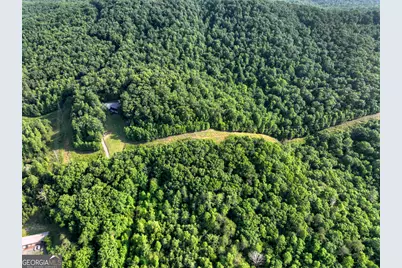 0 Walker Drive, Morganton, GA 30560 - Photo 25