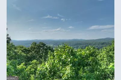 0 Walker Drive, Morganton, GA 30560 - Photo 5