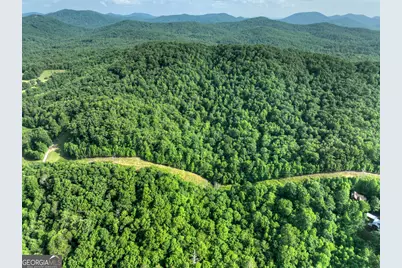 0 Walker Drive, Morganton, GA 30560 - Photo 23