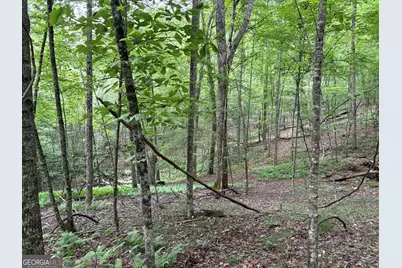 0 Walker Drive, Morganton, GA 30560 - Photo 35