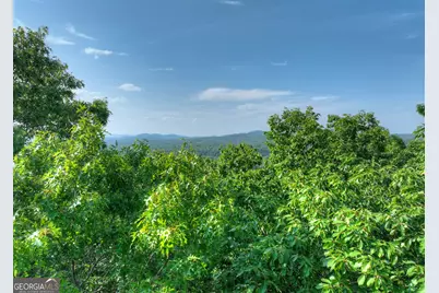 0 Walker Drive, Morganton, GA 30560 - Photo 11