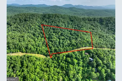 0 Walker Drive, Morganton, GA 30560 - Photo 21