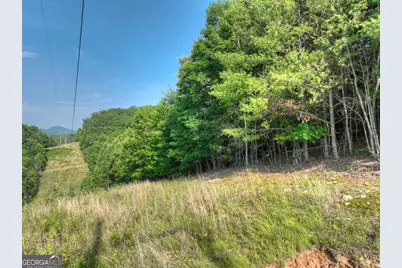 0 Walker Drive, Morganton, GA 30560 - Photo 15