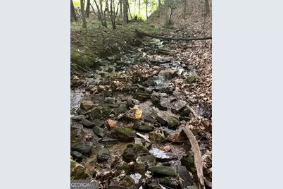 0 Walker Drive, Morganton, GA 30560 - Photo 27