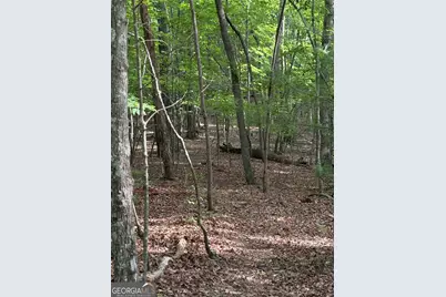 0 Walker Drive, Morganton, GA 30560 - Photo 31