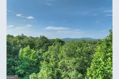 0 Walker Drive, Morganton, GA 30560 - Photo 7