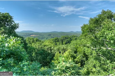 0 Walker Drive, Morganton, GA 30560 - Photo 9