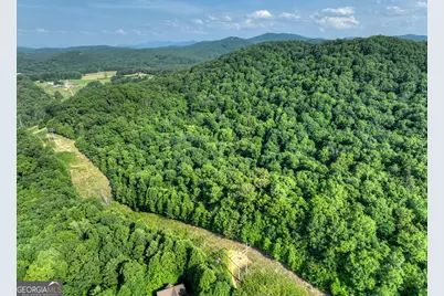 0 Walker Drive, Morganton, GA 30560 - Photo 19