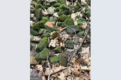 0 Walker Drive, Morganton, GA 30560 - Photo 33