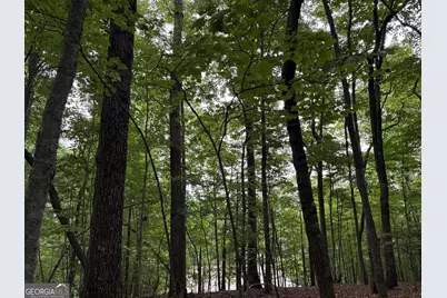 0 Walker Drive, Morganton, GA 30560 - Photo 5