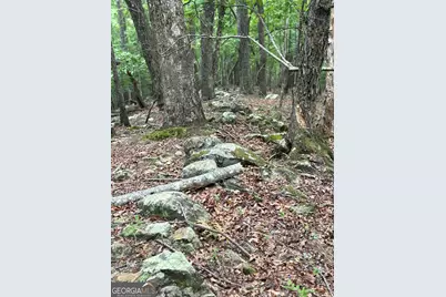 0 Walker Drive, Morganton, GA 30560 - Photo 7