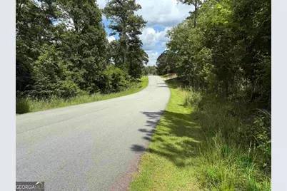 1041 Glen Eagle Drive, Greensboro, GA 30642 - Photo 3