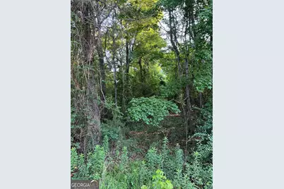 0 First Avenue, Hawkinsville, GA 31036 - Photo 3