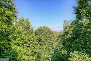 249 Dalton Dr, Dillard, GA 30537 - Photo 59