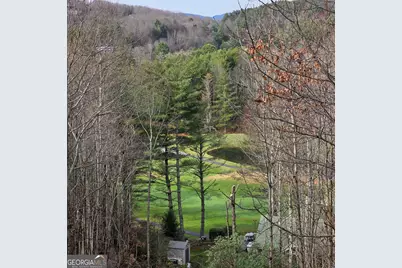 249 Dalton Drive, Dillard, GA 30537 - Photo 3