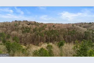 230 Grove Lane #3642, Ellijay, GA 30540 - Photo 55