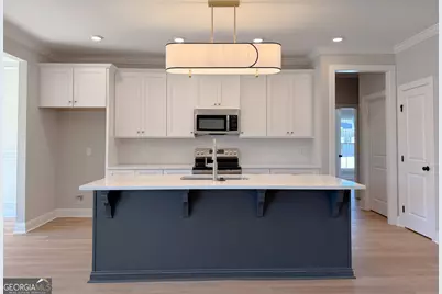 10 Honeysuckle Drive, Claxton, GA 30417 - Photo 11