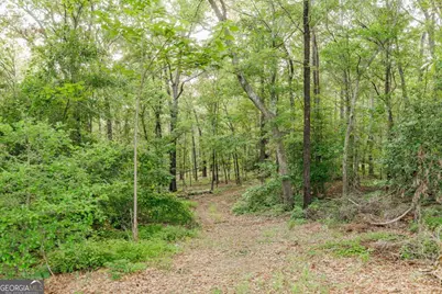 706 Sam Bruce Road, Royston, GA 30662 - Photo 73