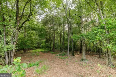 706 Sam Bruce Road, Royston, GA 30662 - Photo 69