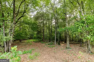 706 Sam Bruce Rd, Royston, GA 30662 - Photo 69