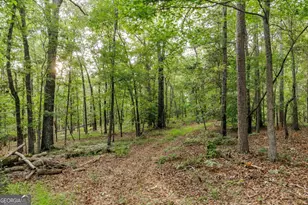 706 Sam Bruce Rd, Royston, GA 30662 - Photo 75