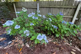 4710 Cedar Brook Dr SE, Conyers, GA 30094 - Photo 29