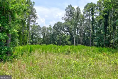 1060 Twin Pines Circle NE, Greensboro, GA 30642 - Photo 17