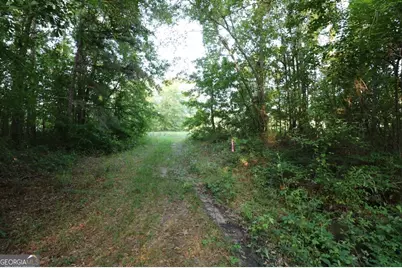 0 Kings Mill Road #1, Wrens, GA 30833 - Photo 5