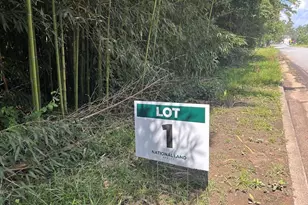 0 Kings Mill Rd, Wrens, GA 30833 - Photo 1