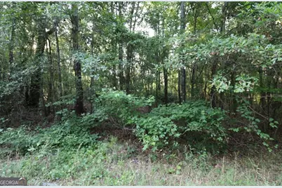 0 Kings Mill Road #3, Wrens, GA 30833 - Photo 15