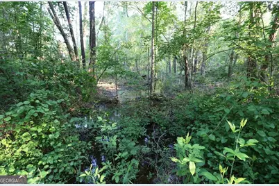 0 Kings Mill Road #3, Wrens, GA 30833 - Photo 7