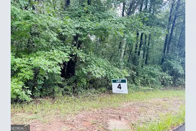 0 Kings Mill Road #4, Wrens, GA 30833 - Photo 3