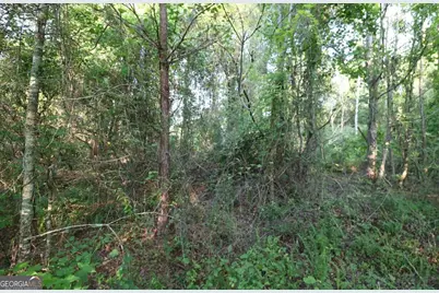 0 Kings Mill Road #5, Wrens, GA 30833 - Photo 11