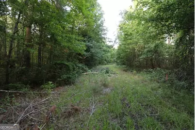 0 Kings Mill Road #5, Wrens, GA 30833 - Photo 17