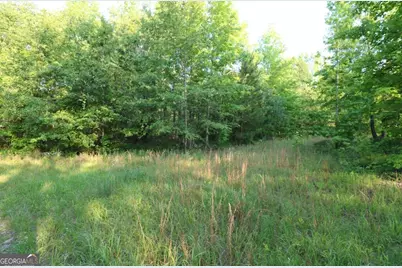 0 Kings Mill Road #5, Wrens, GA 30833 - Photo 5