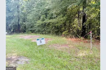 0 Kings Mill Road #5, Wrens, GA 30833 - Photo 3