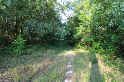 0 Kings Mill Road #6, Wrens, GA 30833 - Photo 9