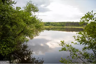 1940 Horne Road, Eastman, GA 31023 - Photo 65