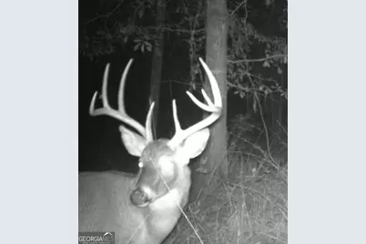 1940 Horne Road, Eastman, GA 31023 - Photo 77