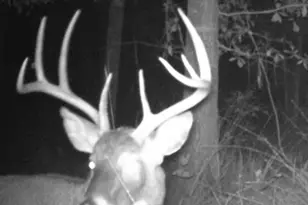 1940 Horne Rd, Eastman, GA 31023 - Photo 77