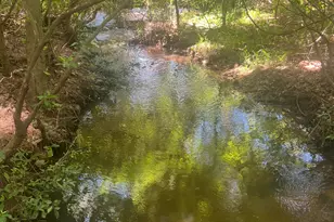 1940 Horne Rd, Eastman, GA 31023 - Photo 81